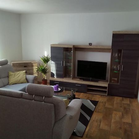 Appartamento Apartmán Pod Říčkami Rokytnice v Orlických Horách Esterno foto
