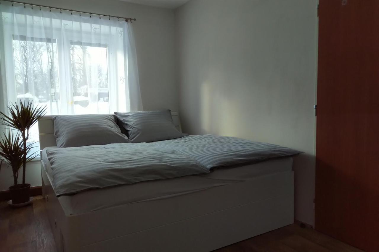 Appartamento Apartmán Pod Říčkami Rokytnice v Orlických Horách Esterno foto