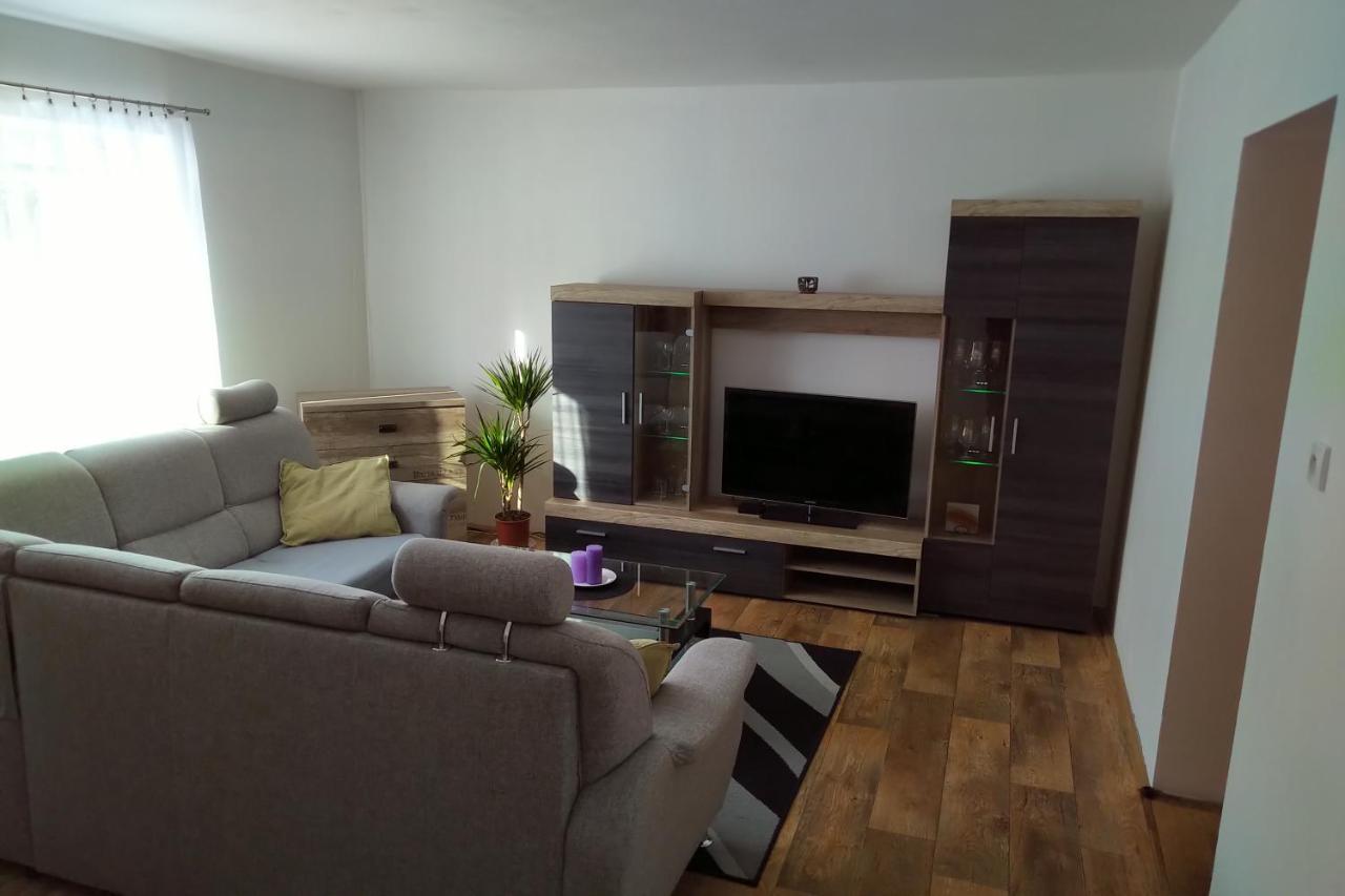Appartamento Apartmán Pod Říčkami Rokytnice v Orlických Horách Esterno foto