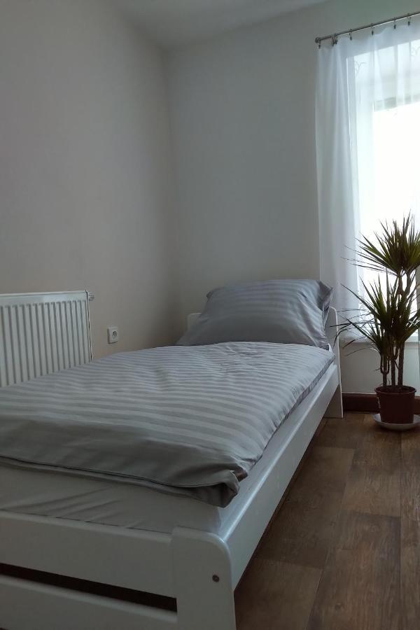 Appartamento Apartmán Pod Říčkami Rokytnice v Orlických Horách Esterno foto