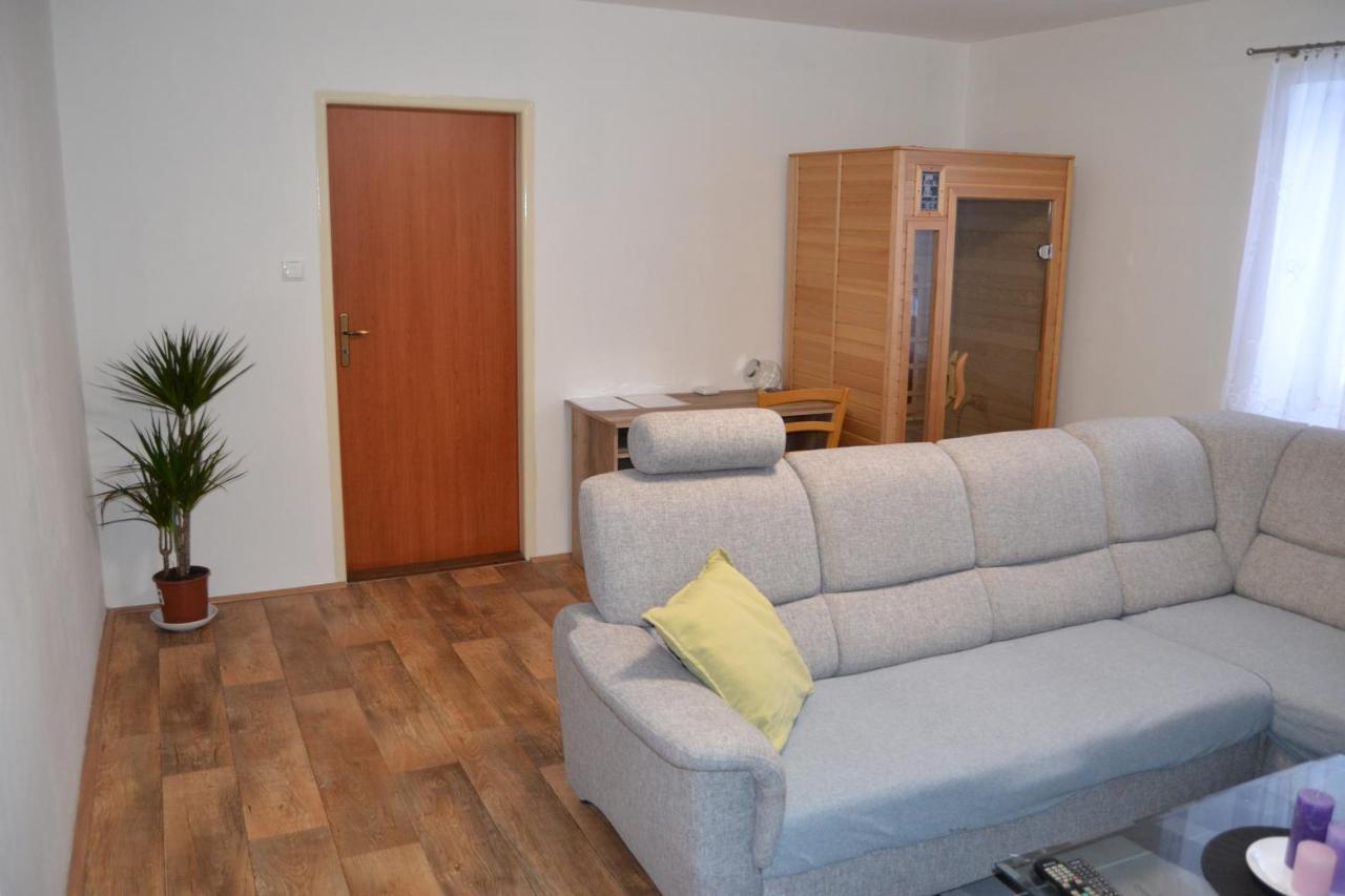 Appartamento Apartmán Pod Říčkami Rokytnice v Orlických Horách Esterno foto