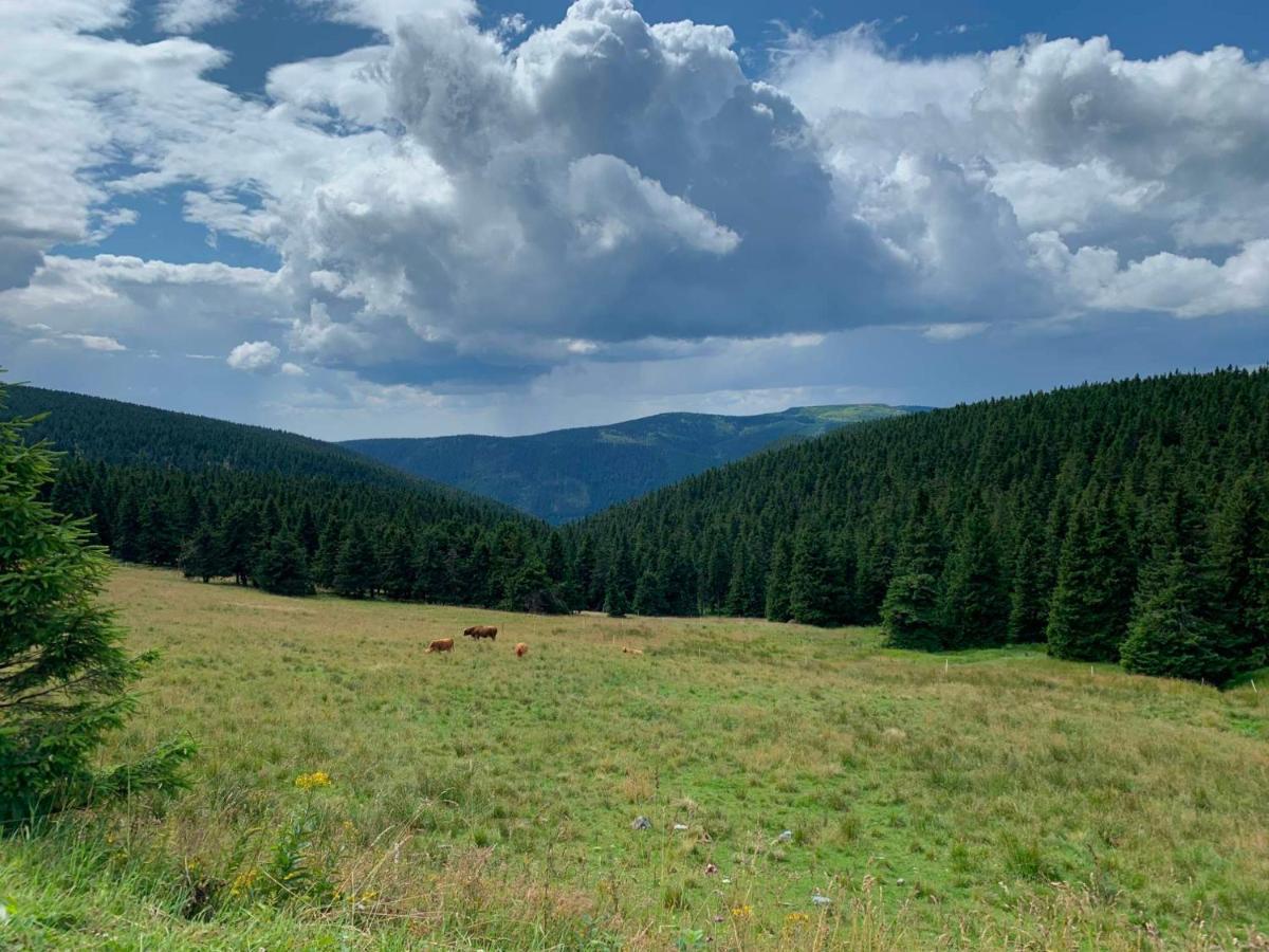 Appartamento Apartmán Pod Říčkami Rokytnice v Orlických Horách Esterno foto
