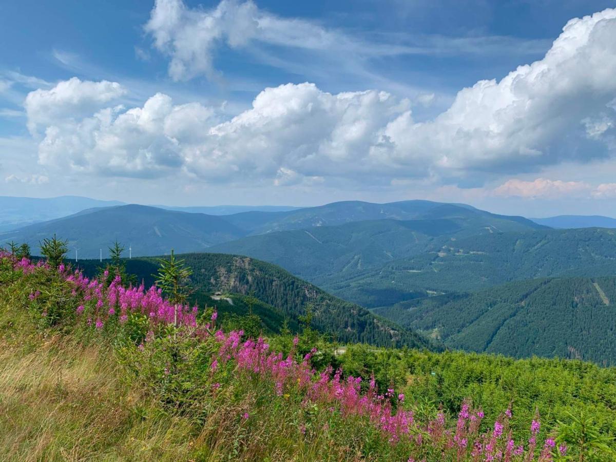 Appartamento Apartmán Pod Říčkami Rokytnice v Orlických Horách Esterno foto